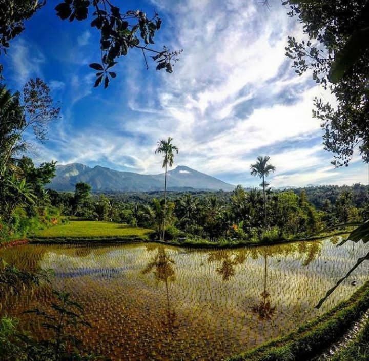 Tetabatu Rice Terrace Apartment Tetebatu Cameră foto