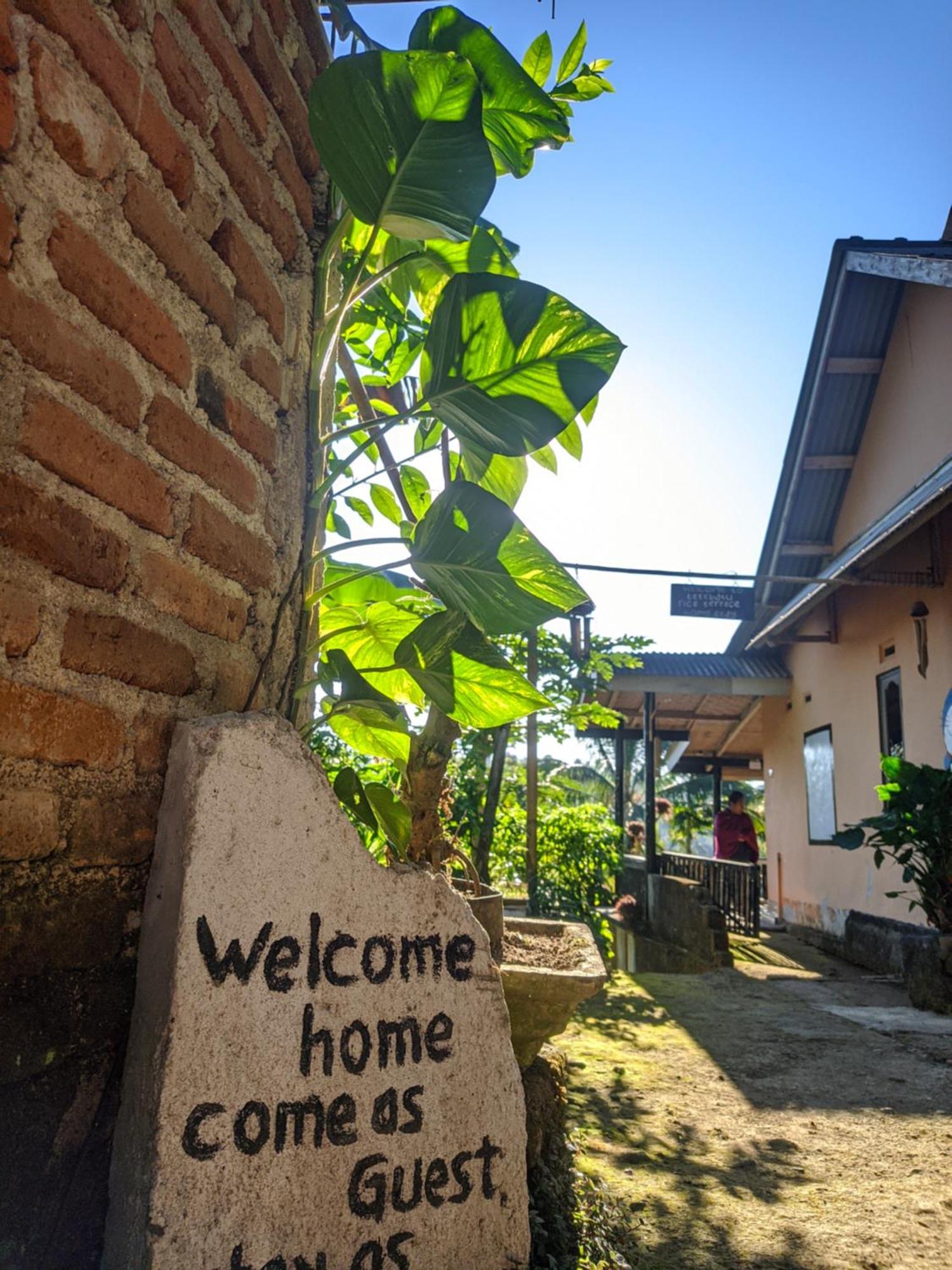 Tetabatu Rice Terrace Apartment Tetebatu Cameră foto